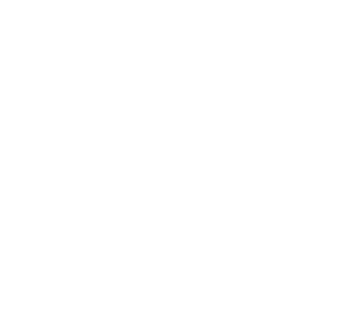 Digital Services Icon